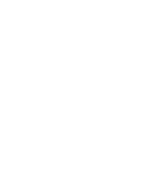 logo solel coaching